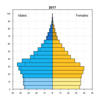 Population pyramid from UN DESA Population Division