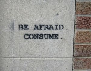 32023051_b62775ff58_o